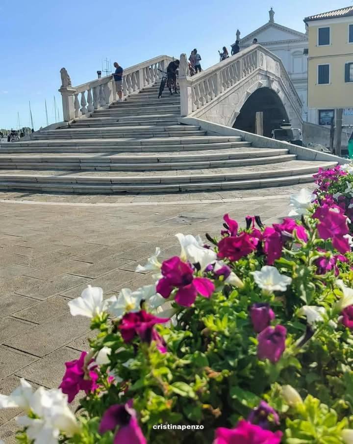 La Caletta Lejlighed Chioggia Eksteriør billede